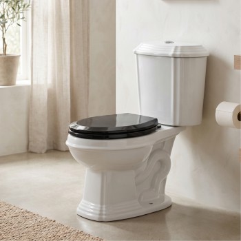 Easy Close Plastic Elongated Black Toilet Seat Ergonomic Design 