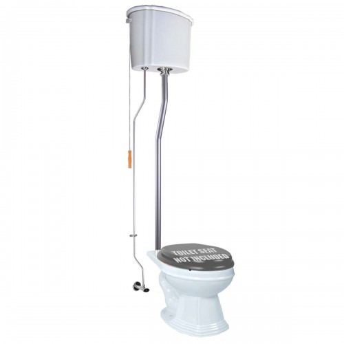 Aspen High Tank Pull Chain Bathroom Toilet White Ceramic Tank Elongated Rear Entry Bowl Satin Pipes and Hardware ADA Compliant image-10