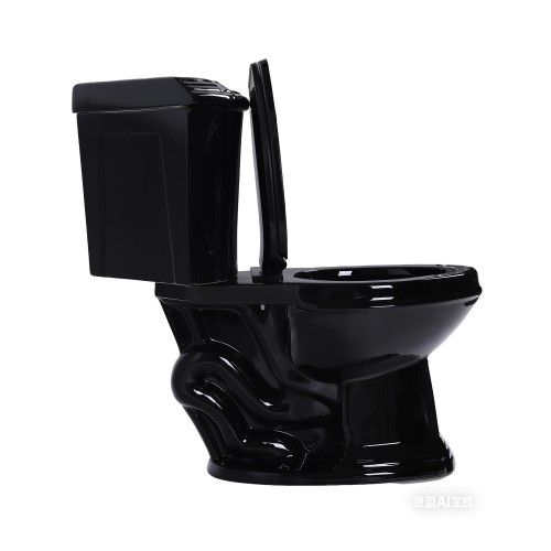 Black Sheffield Corner 2-Piece 0.8 GPF/1.6 GPF Dual Flush Elongated Toilet with Slow Close Seat image-5