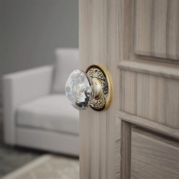 Pair of Victorian Rosette Cast Antique Brass Door Backplate Pack of 2 Door Plate 