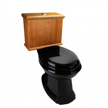 Low Tank Toilet with Light Oak Flat Panel Tank Elongated Black Bowl 