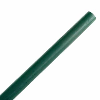 Green Curtain Rod Bayberry Pine 48" Rod for Window Curtains 