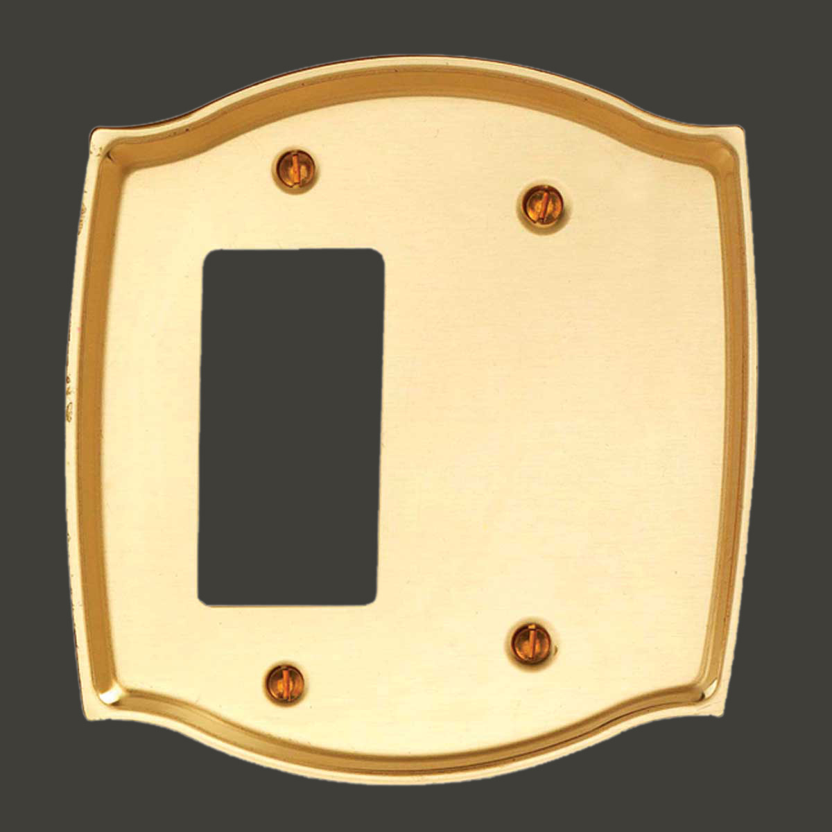 Switch Plate Bright Solid Brass GFI Blank