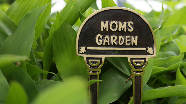 Outdoor & Garden